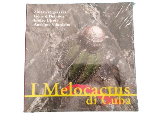 Melocactus cuba rigerszki - di,
