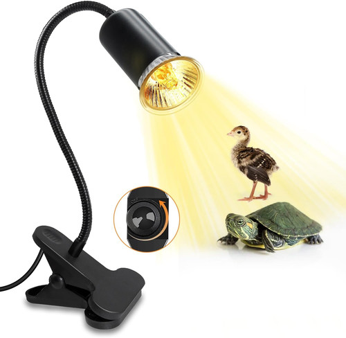 Lampada rettili riscaldante - rettili,