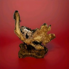Scultura In Radica Di Ulivo Secolare Olive Wood 