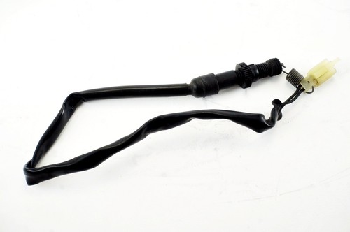 Honda hornet 600 2003 2006 - honda,