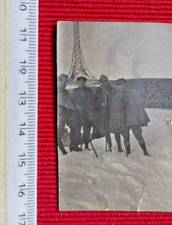 Foto Escuzionisti sulla vetta Monte Catria 2-11-1919-Croce di Leone XIII sfondo