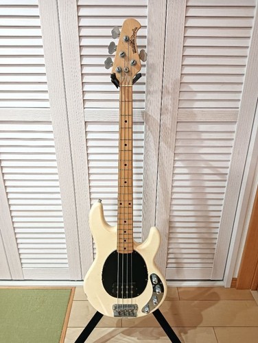 Music man stingray basso - music,