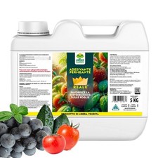 Bagnante Adesivante Permeante