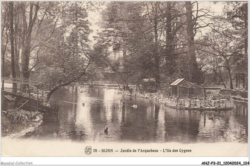 Anjp3 0224 dijon - anjp3-0224-21,