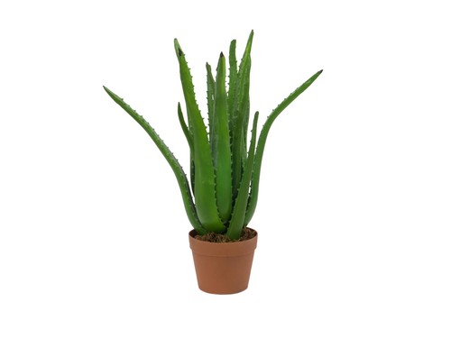 Pianta artificiale europalms - artificiale,