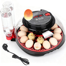 Incubatrice Completamente Automatica per Uova Di Gallina, Incubatrice Con Temper