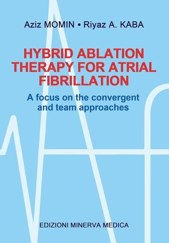 Hybrid ablation therapy - , for