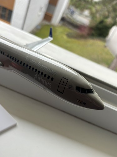 Modellino aereo 100 - modellino, 1:100