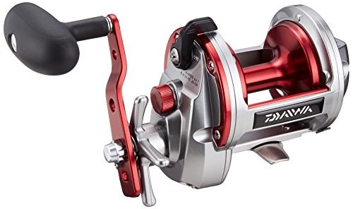 Daiwa nuova linea mare pesce - mare,