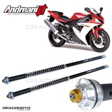 YAMAHA YZF-R1 2002-2003