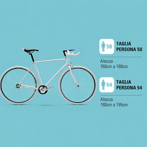 Bici fixed uomo single speed