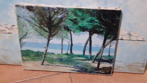 Quadro paesaggio olio tela - quadro,