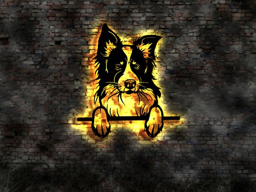 Quadro border collie - collie, legno