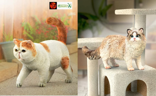 Cat breeds toy model figures - model,