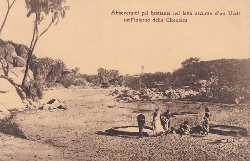 Cartolina militare cirenaica - cartolina, ,cirenaica