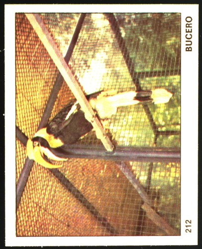 Mondo degli animali - degli,