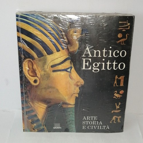 Libro antico egitto - libro,