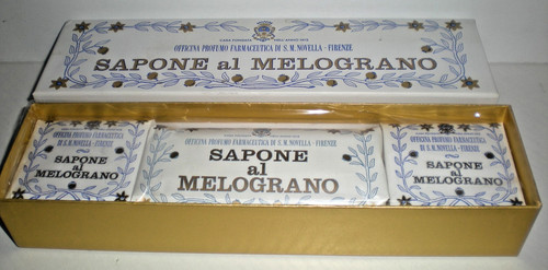 Santa maria novella - santa,