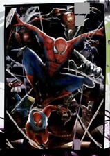 card Limited Edition Panini Marvel 2023 Spiderman Benvenuti Spider-verse 2