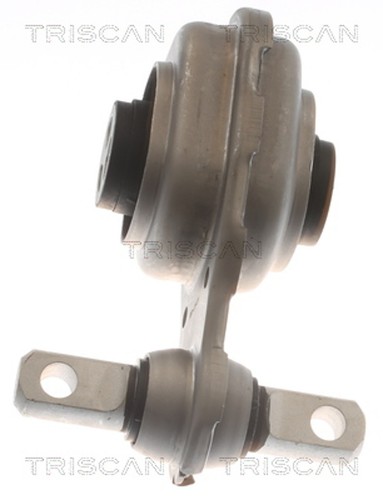Supporto motore triscan 8505 - motore,