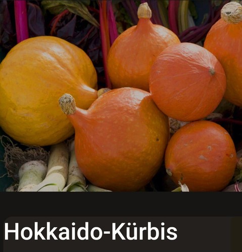 Semi zucca hokkaido - zucca,