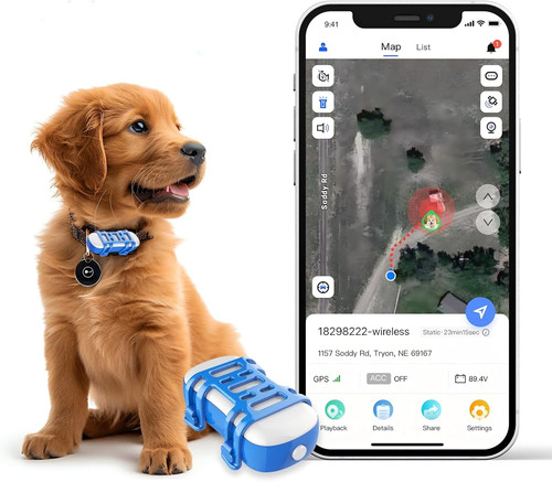 Gps per cani gatto - cani,
