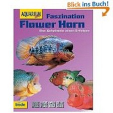 Flower horn faszination - faszination, bernd