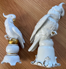 Coppia di pappagalli