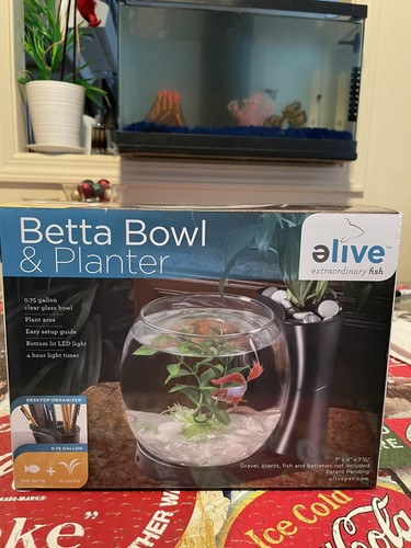 Elive betta fish - fish, &