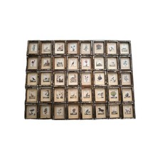 Stampa antica Lotto Stampine