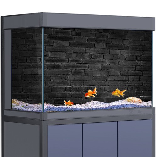 Aquarium décor background - aquarium,