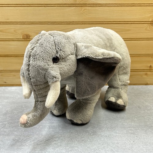 Disney conservation fund - conservation,