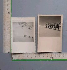 24/45/7)Soldati Val Martello Alpini Escursioni Sci Alpinismo N5 Foto 3-6-1948