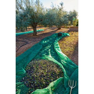 Rete olive antispina 80g - rete,