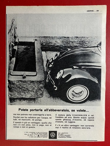 Volkswagen maggiolino - (i33),