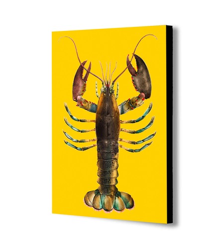 Aragosta giallo vintage - -,