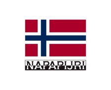 Felpa Uomo NAPAPIJRI BERIS H