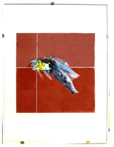 Autore ignoto pesce - ignoto-,