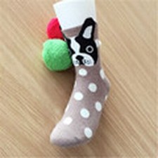 Calze panda animali cartone