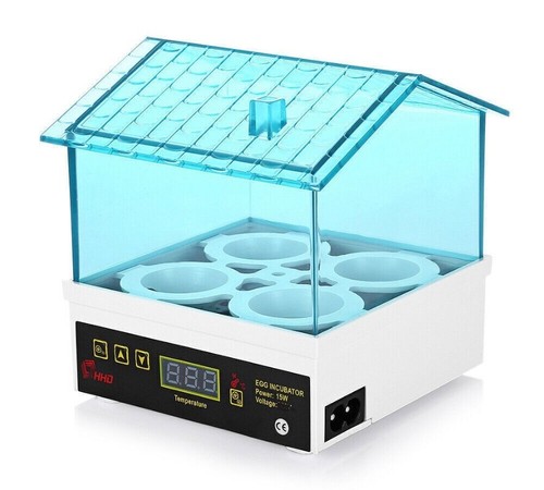 Mini incubatrice pollo anatra - mini,