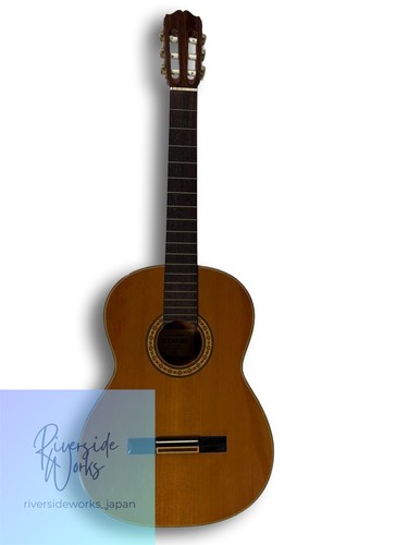 Chitarra classica takamine - classica,