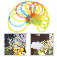  Tavola Gradazione Frutta