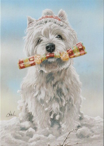 Biglietto natale westie - biglietto, di
