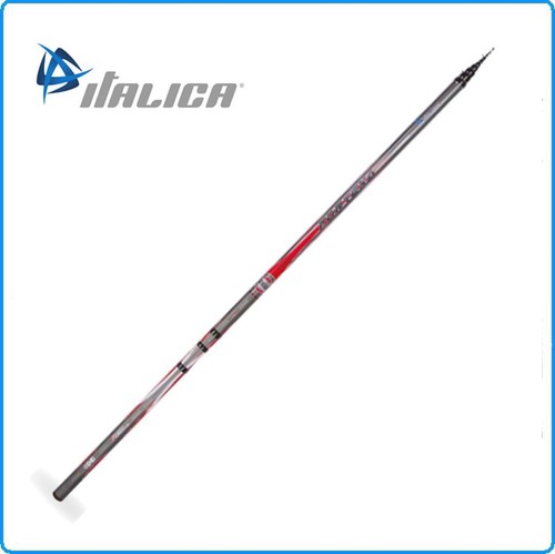 Canna italica bolognese - canna,