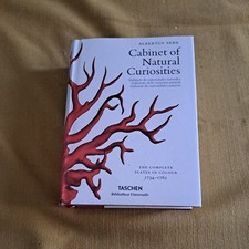 GABINETTO DELLE CURIOSITÀ