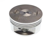 13300-E11-000 Pistone Access