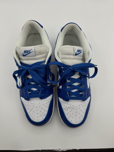 Nike dunk low retro - retro, sp