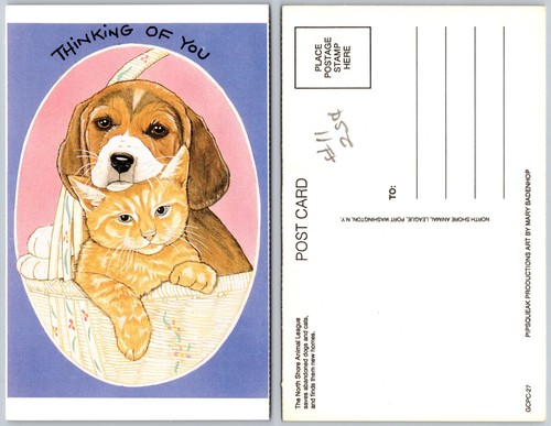 Cartolina illustrazione cesto