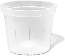 Vaso per Piante Da 15,2 Cm