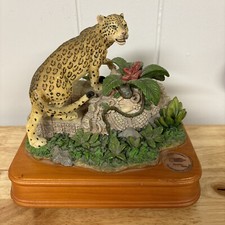 RARE NATIONAL GEOGRAPHIC